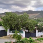 Facada y entrada MoVia